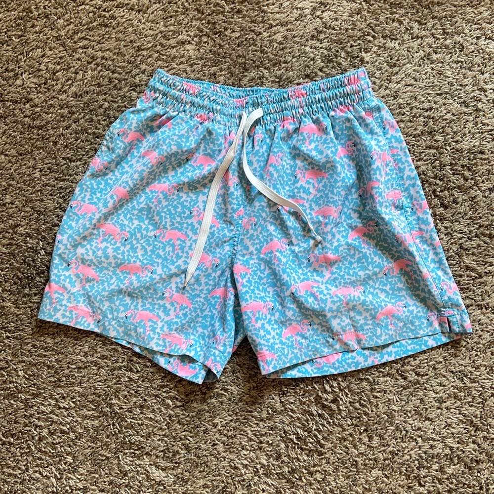 Chubbies “The Domingos Are For Flamingos” swim trunks